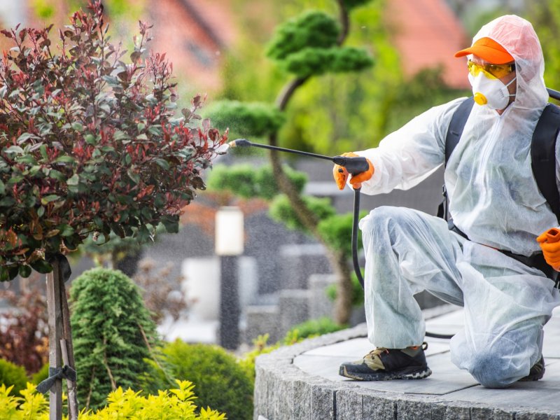 Şarkışla Haşere İlaçlama